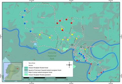 Exploring the mycobiome and arbuscular mycorrhizal fungi associated with the rizosphere of the genus Inga in the pristine Ecuadorian Amazon